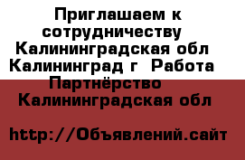 Приглашаем к сотрудничеству - Калининградская обл., Калининград г. Работа » Партнёрство   . Калининградская обл.